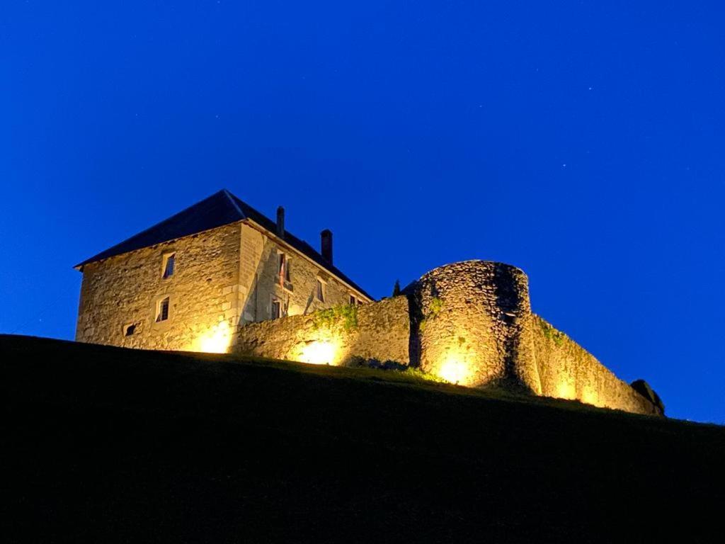 Chateau De Morgenex Vallières Exterior foto